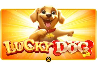 4777 Video Slots 5-Reel Free Spins Bonus Round